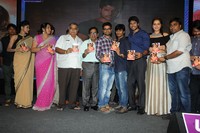 Joru Movie Audio Launch